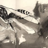 Insect Book 002